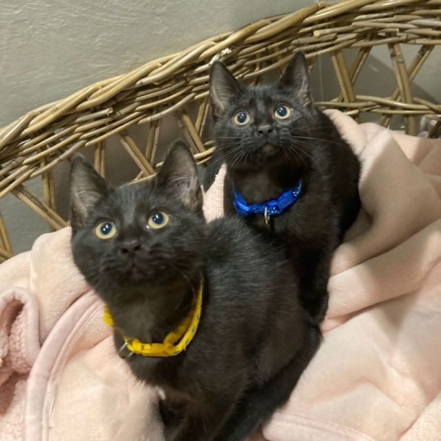 Photo of Tiny