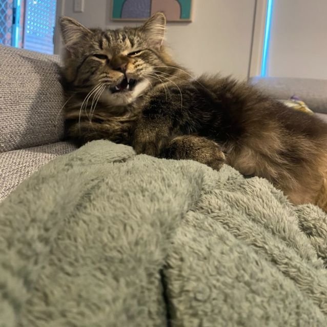 Photo of Junior & Blossom 💙🌸