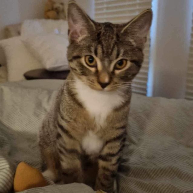 Photo of Emerald & George