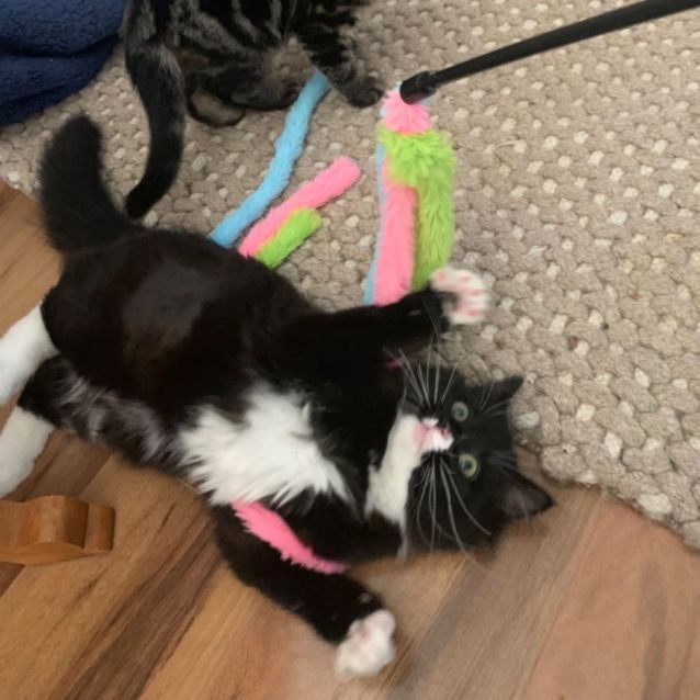 Photo of Emerald & George