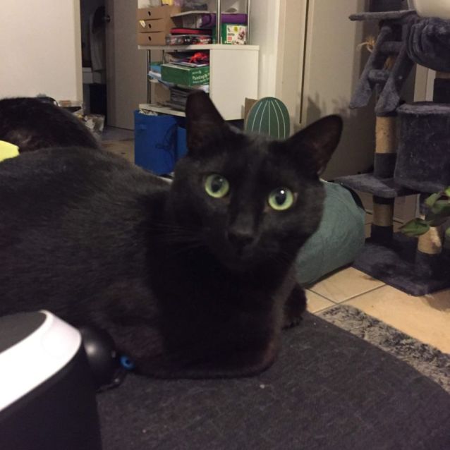 Photo of Freddy