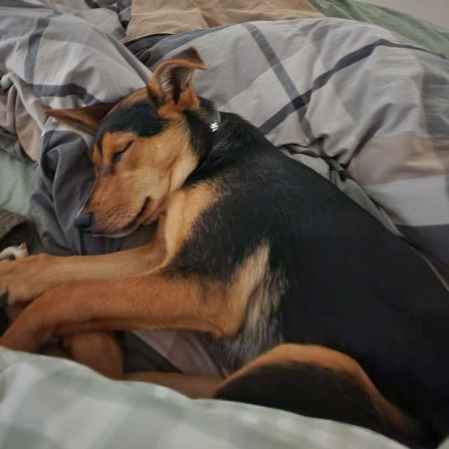 Photo of Valencianite 