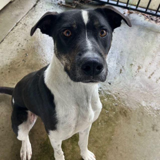 Photo of Butch