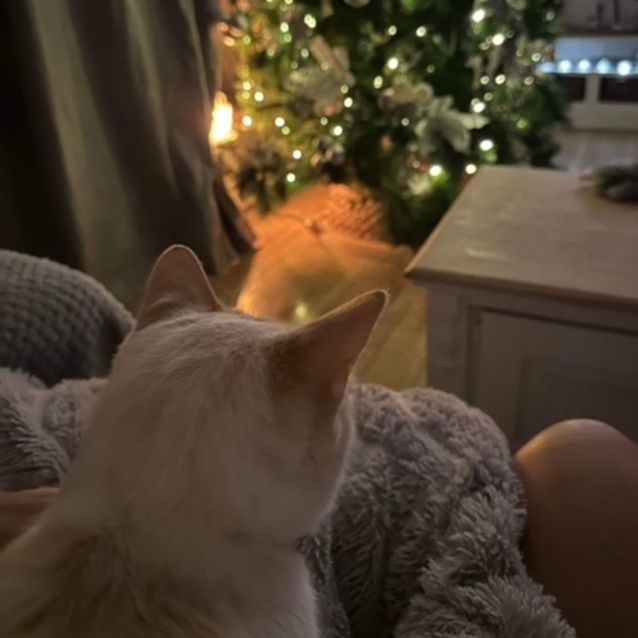 Photo of Snowy