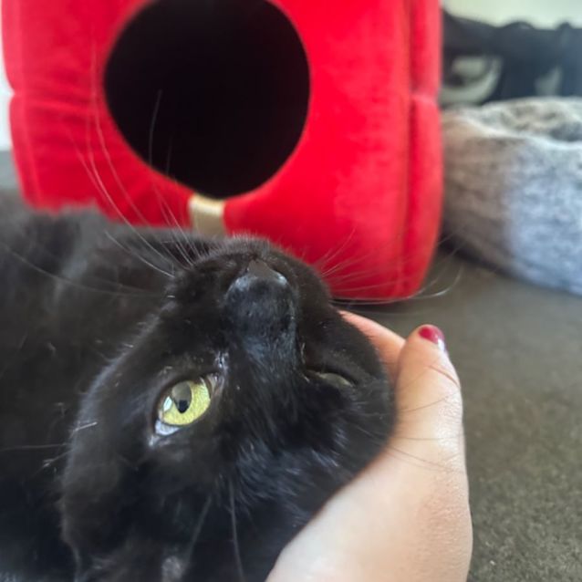 Photo of Lucy 🎀💝🤗