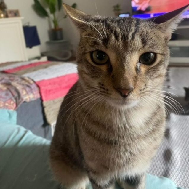 Photo of Toby