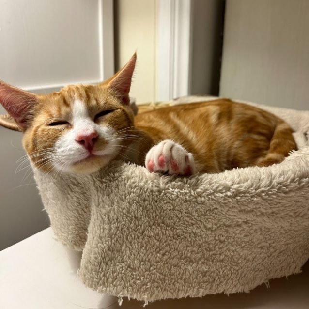 Photo of Roux   Located In Lower Plenty