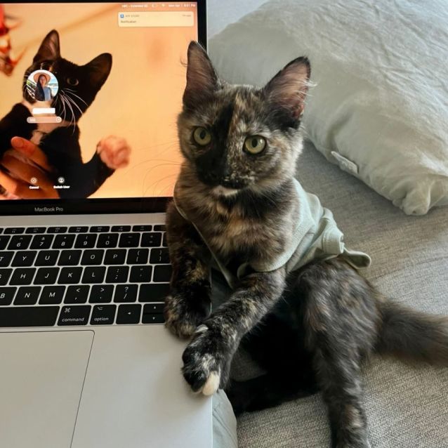 Photo of Moira