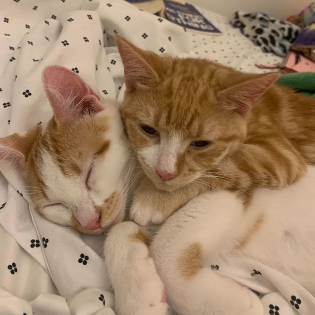 Photo of Jack And Evie