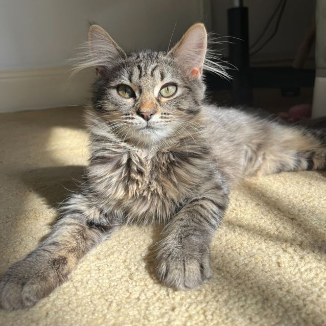 Photo of Catherine & Diana 🌹