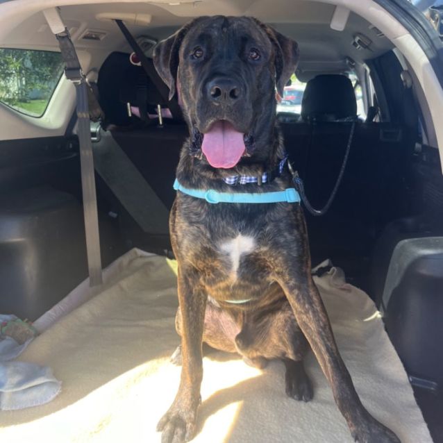 Photo of Ares