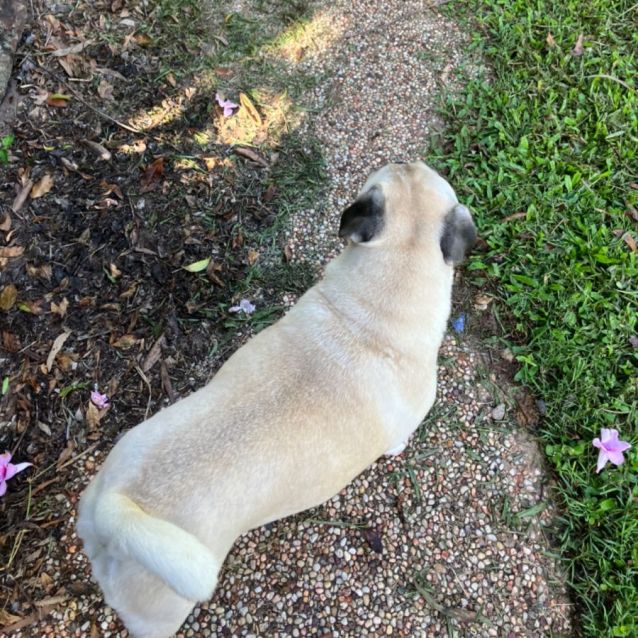 Photo of Gigi