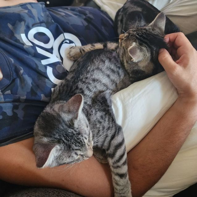 Photo of Binki And Leopard 