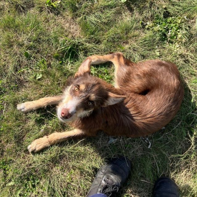 Photo of Truffle