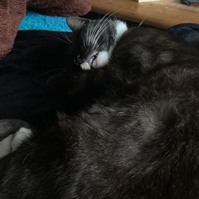 Photo of Tinky