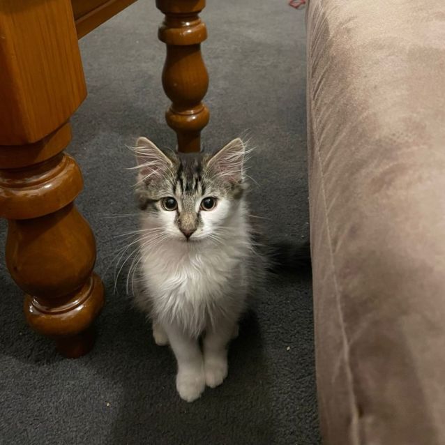 Photo of Frank/Roberto