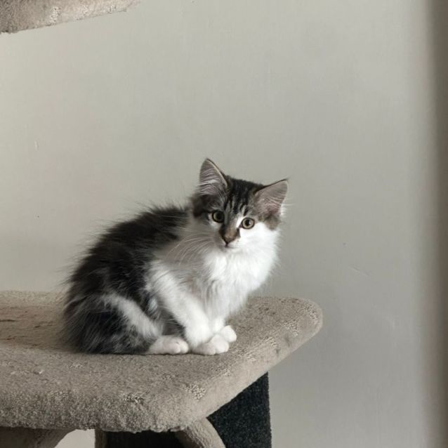 Photo of Frank/Roberto