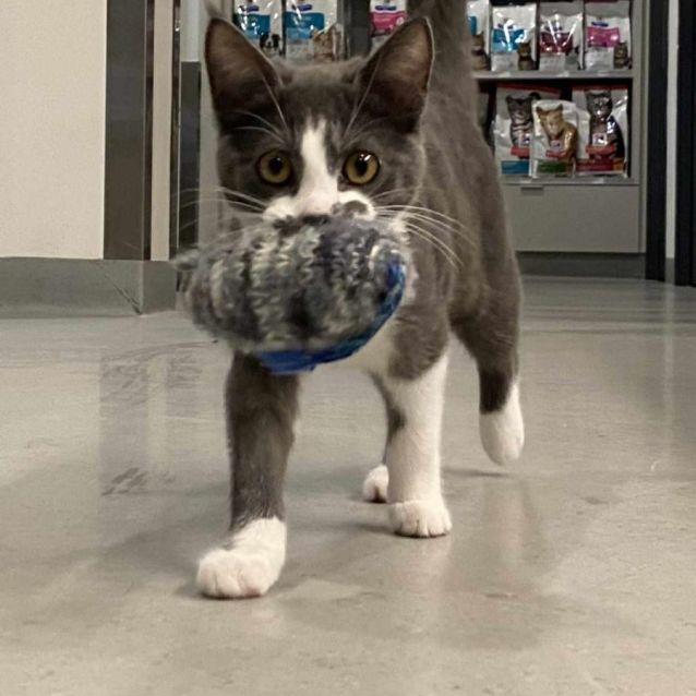 Photo of Keats   Meet Me At Vets On Parker Templestowe