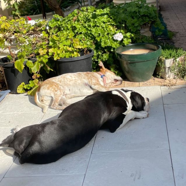 Photo of Lexi And George 