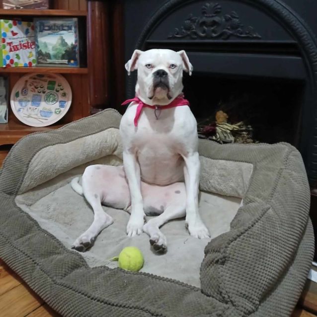 Photo of Stella 💎