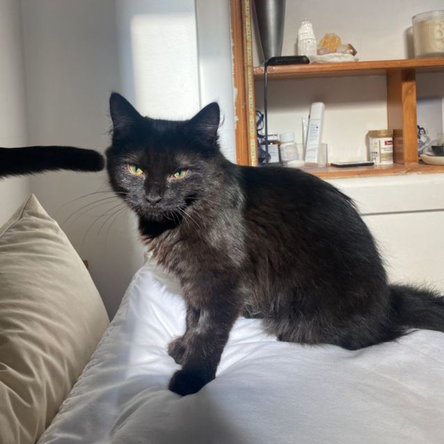Photo of Salem