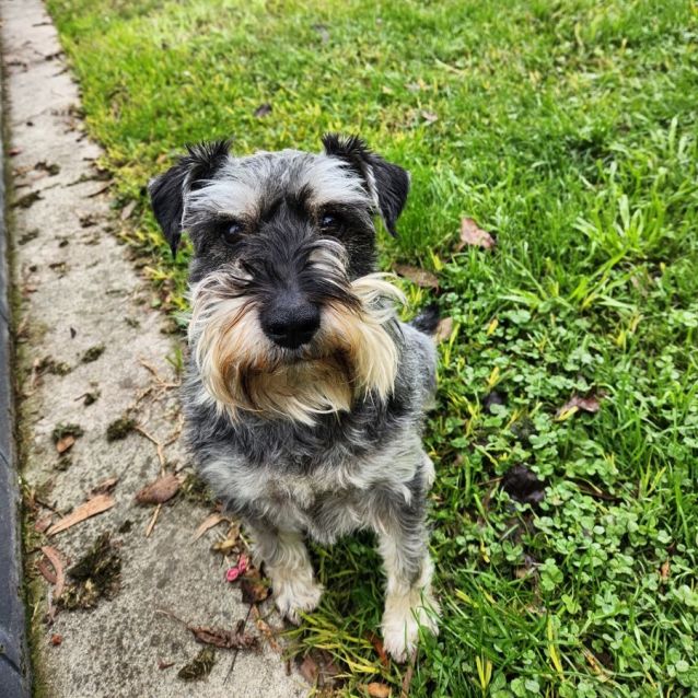 Photo of Photon
