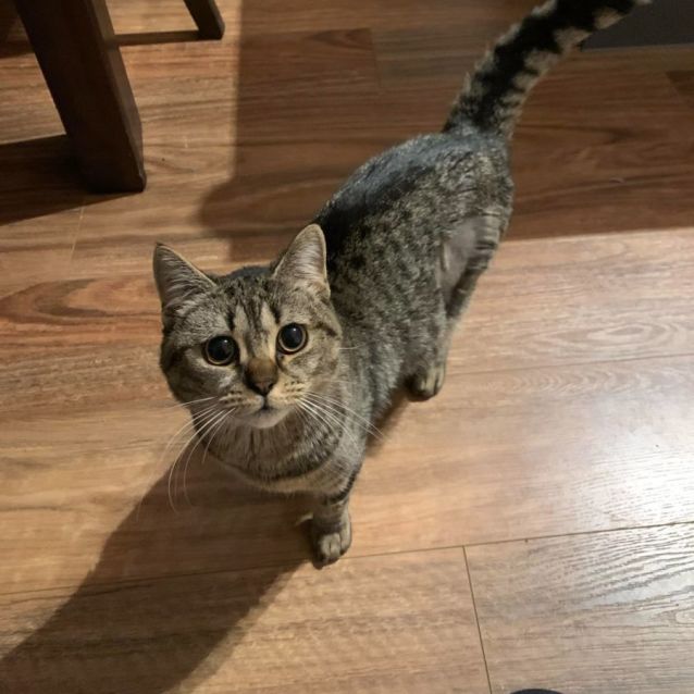 Photo of Butter   Located In Kew