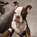 Photo of Maisee Moo
