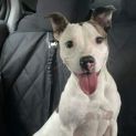 Photo of Essie
