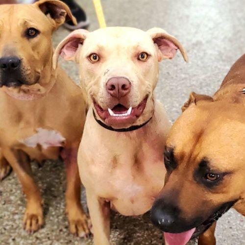 Casper. Great for bike riding, running. Active boy