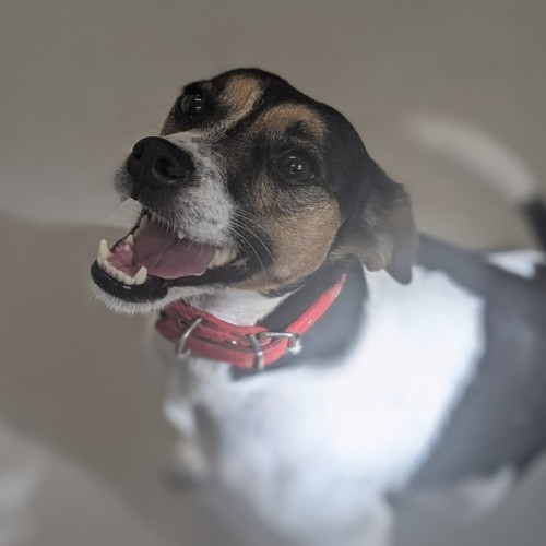 🦋 Myrtle 5988 🦋