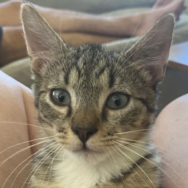 Photo of Thierry 😸