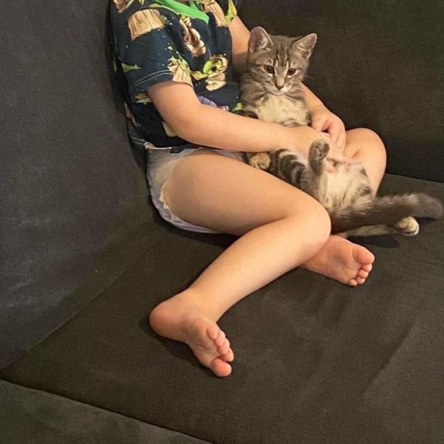 Photo of Puss