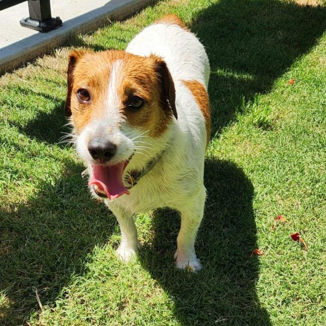 Photo of Casper And Sparky