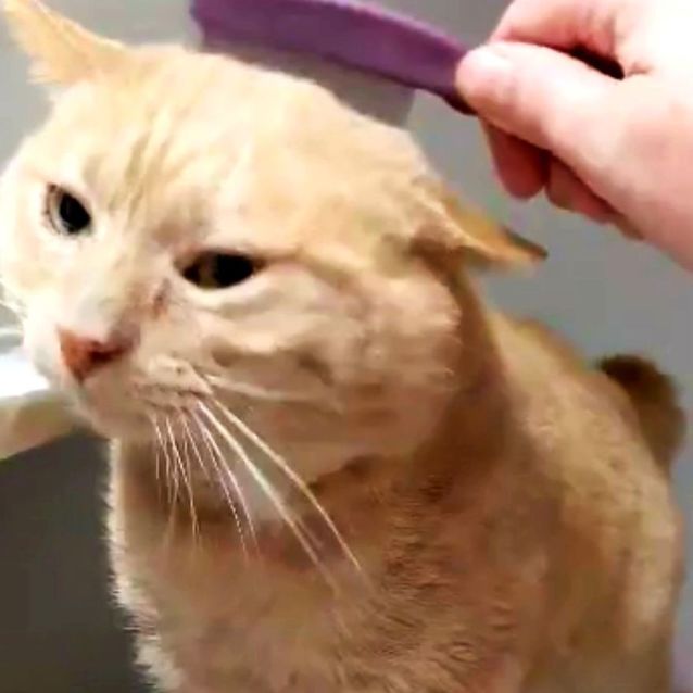 Photo of Gregory   Located In Preston