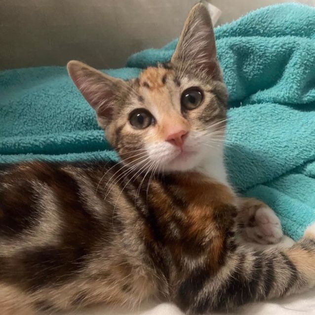 Photo of Hugo And Harriet