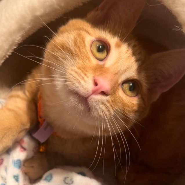 Photo of Clayton 🍊