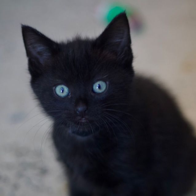 Photo of 💙 Moonlight 💙