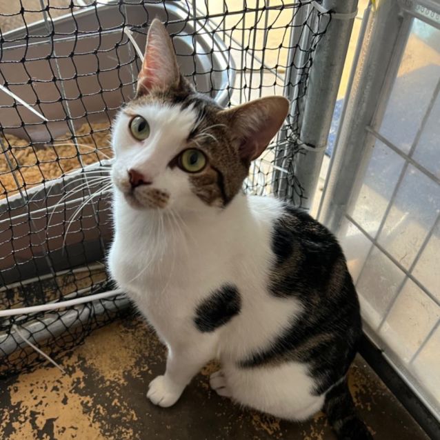 Photo of Prince Lucky 