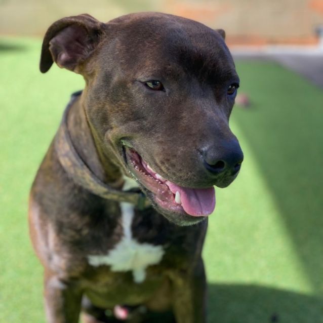 Photo of D859 Boston