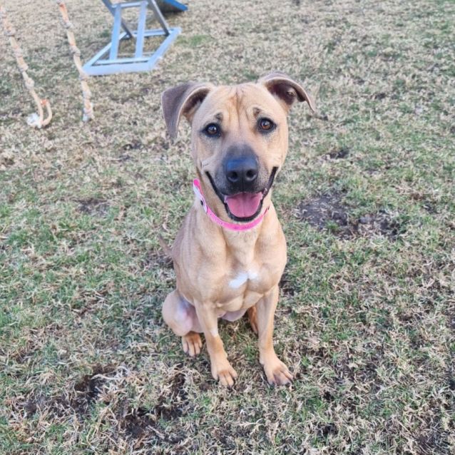 Photo of Emma Imp 1066