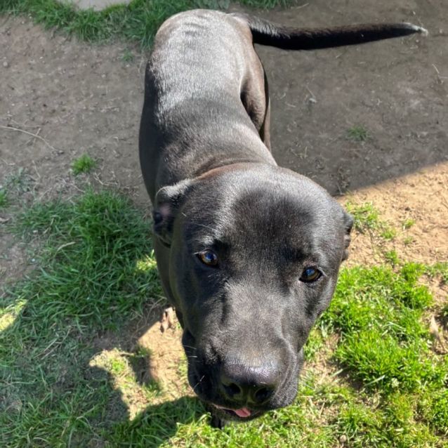 Photo of Pepsi 