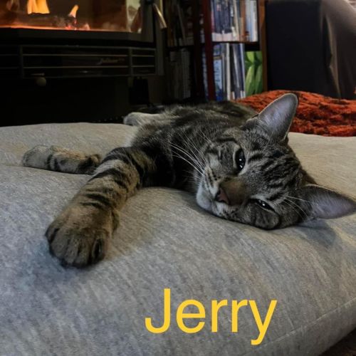 Jerry