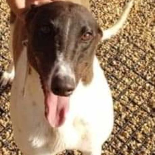 Little Miss Sunshine