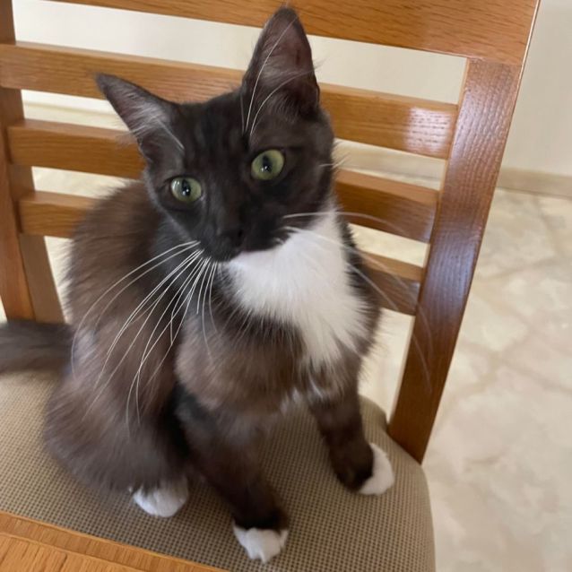 Photo of Bubbles (Located In Edithvale)