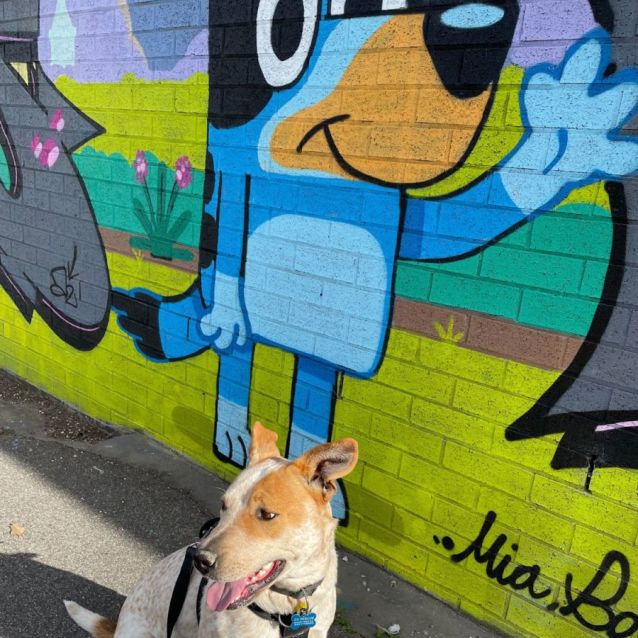Photo of Evie