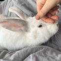 Photo of Abby