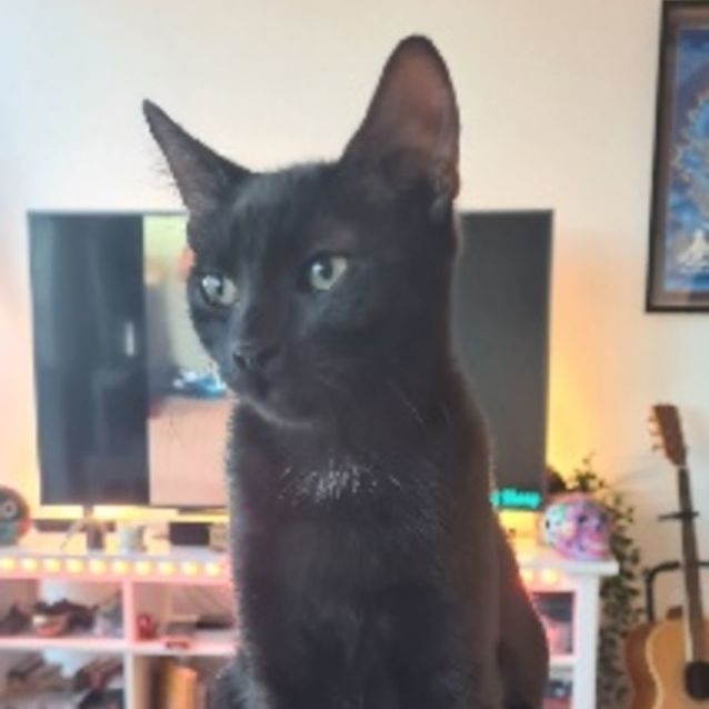 Photo of Cleo
