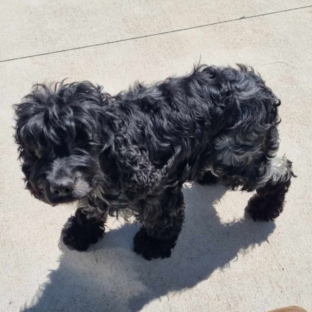 Photo of Clementine