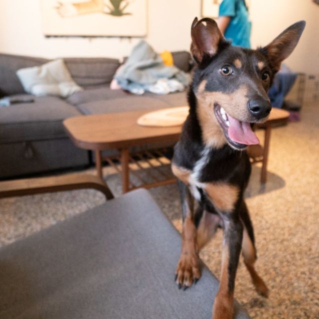 Photo of Darla 
